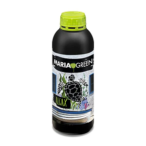 ALGAX 1LT- MARIA GREEN