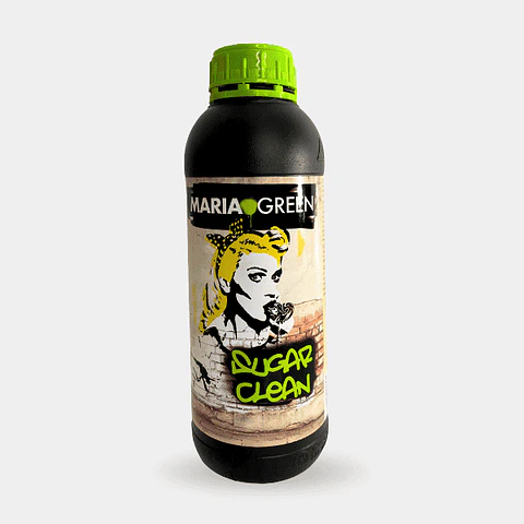 SUGAR CLEAN 1LT- MARIA GREEN