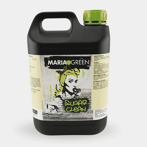 SUGAR CLEAN 5LT- MARIA GREEN 