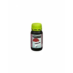 GUARDIAN 250ML- MARIA GREEN