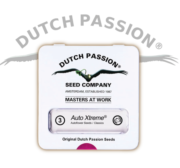 Xtreme Auto X3-Dutch Passion 5