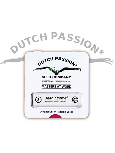 Xtreme Auto X3-Dutch Passion 5