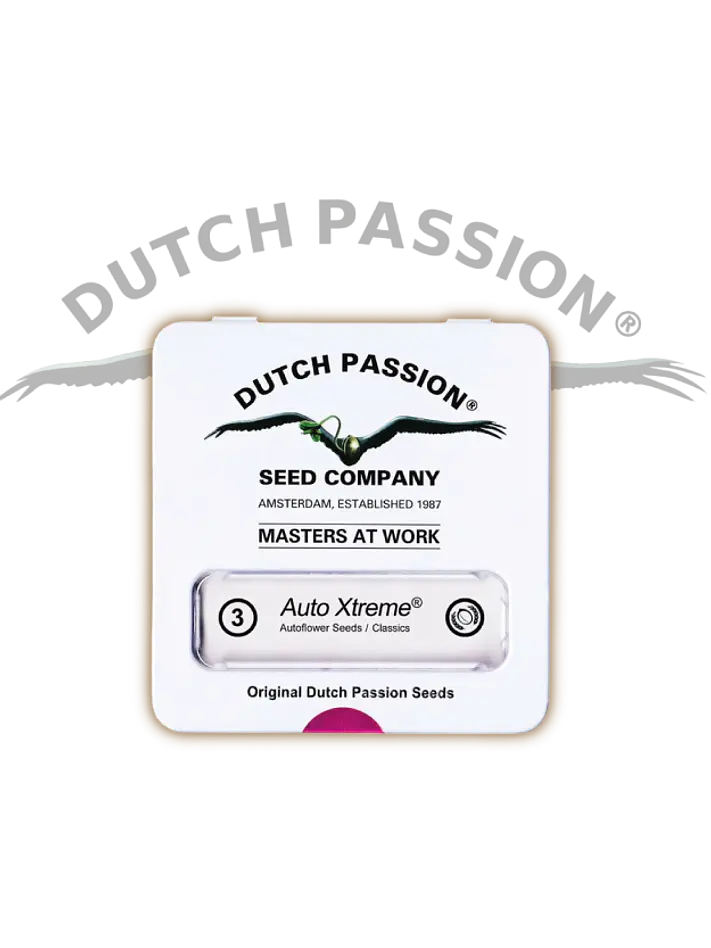 Xtreme Auto X3-Dutch Passion 5