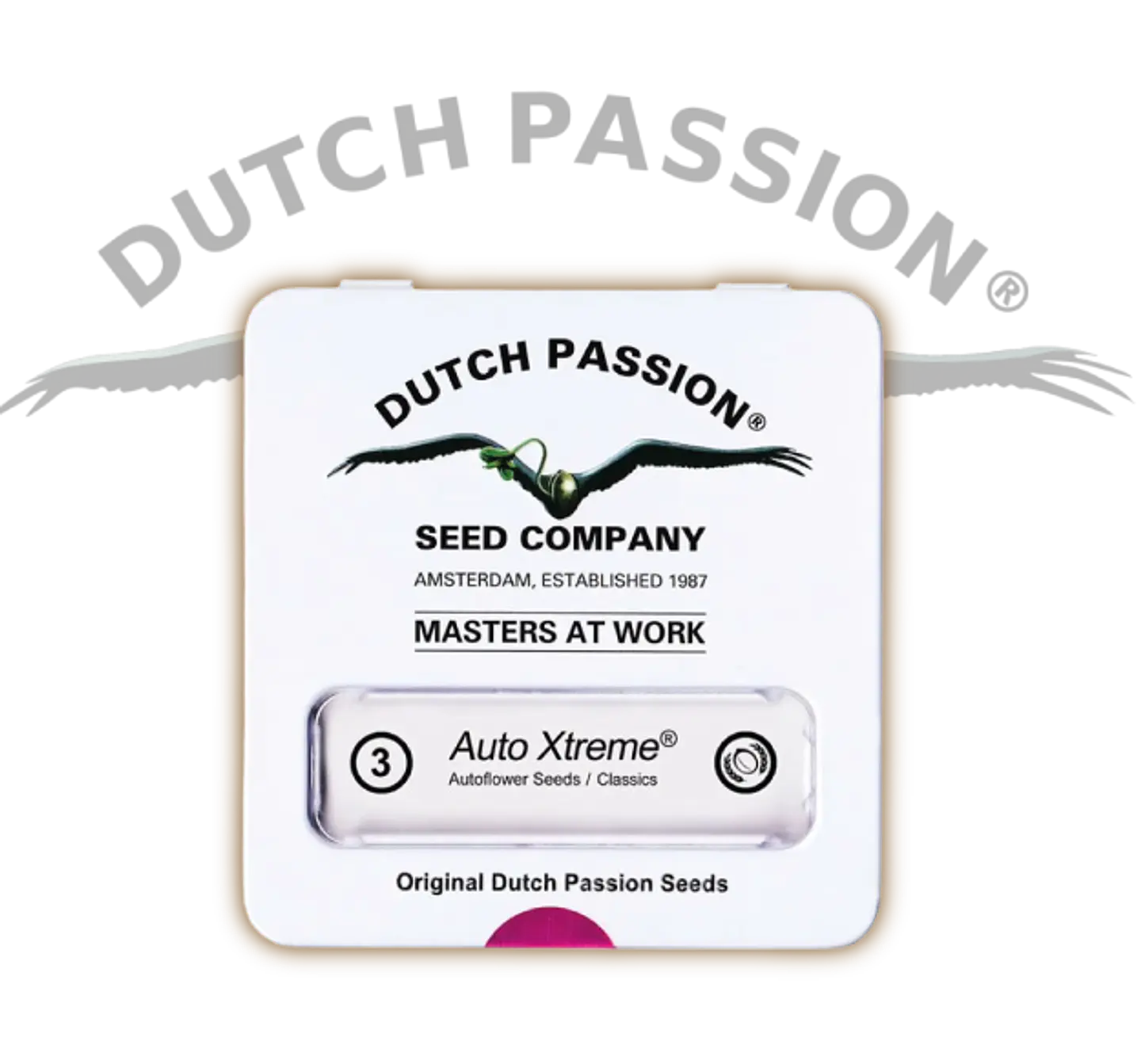 Xtreme Auto X3-Dutch Passion 5