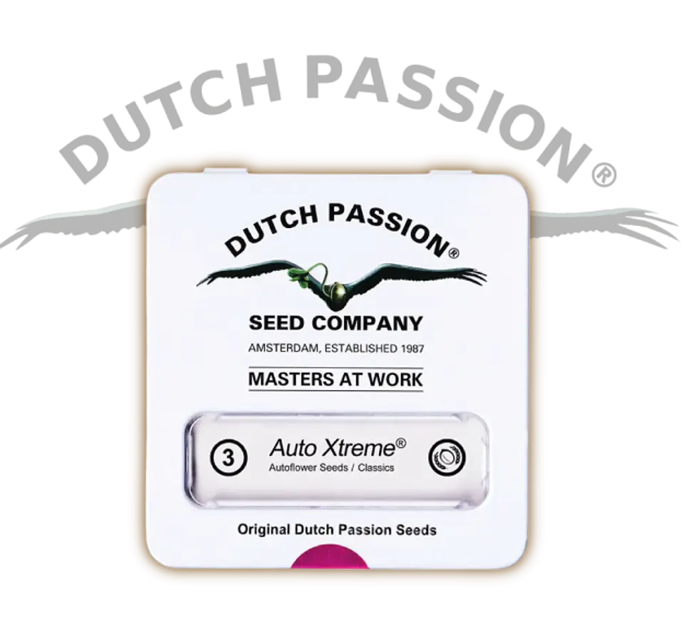 Xtreme Auto X3-Dutch Passion 5