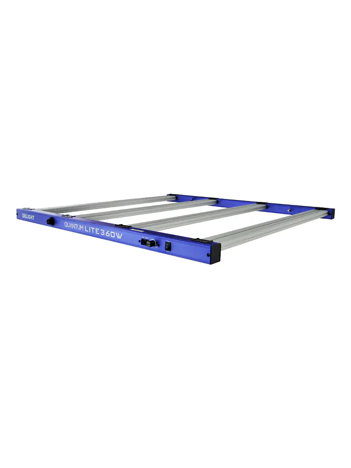 New Quantum Lite 360W - Delight 3