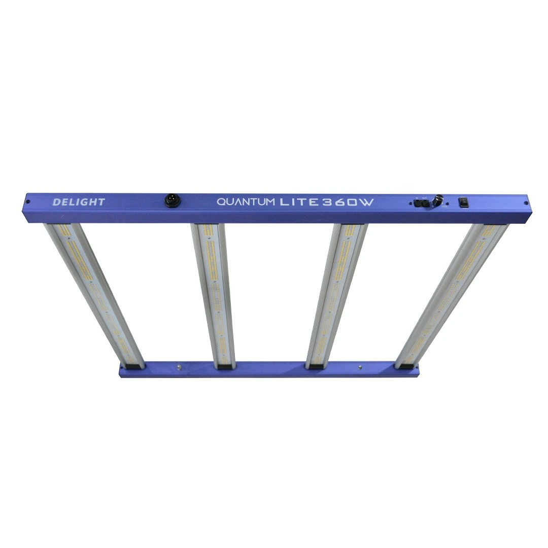 New Quantum Lite 360W - Delight 1