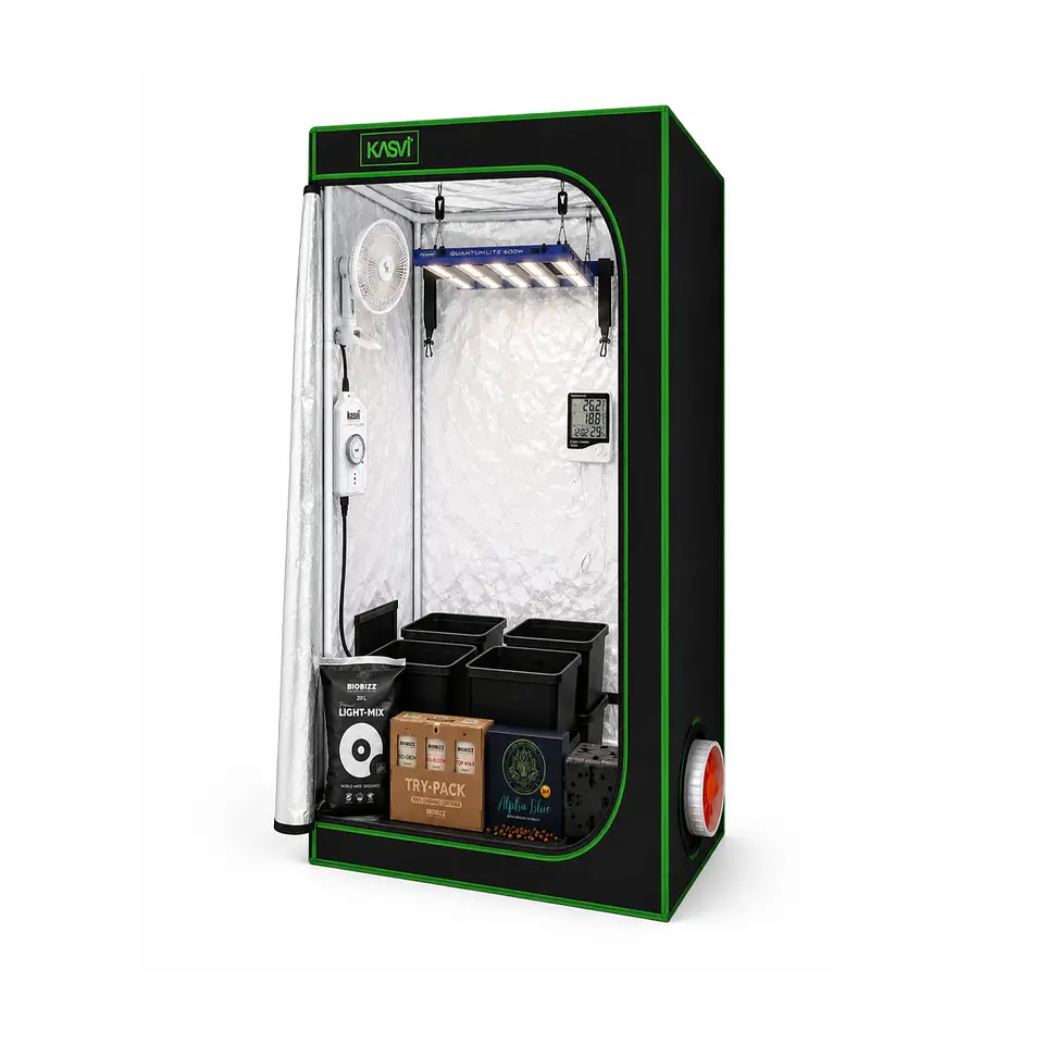 Astro Kit Cultivo Indoor 160W Medio 2