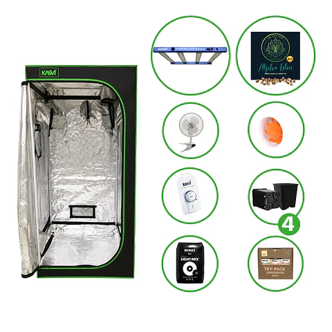 Astro Kit Cultivo Indoor 240W Medio