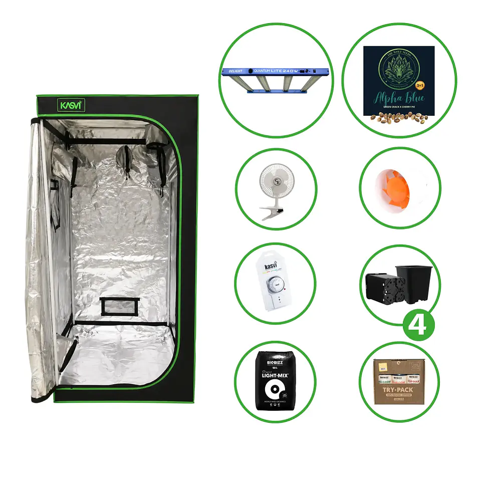 Astro Kit Cultivo Indoor 240W Medio 1
