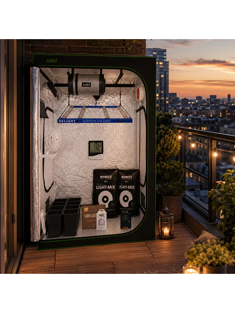 Astro Kit Cultivo Indoor 600W Medio 3