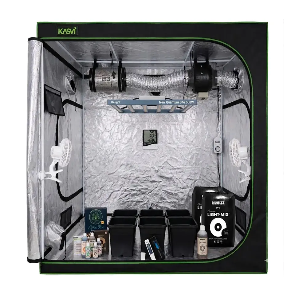 Astro Kit Cultivo Indoor 600W Profesional 2