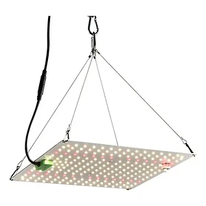 LED QUANTUM BOARD 65W