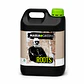 ROOTS 5LT- MARIA GREEN - Miniatura 1