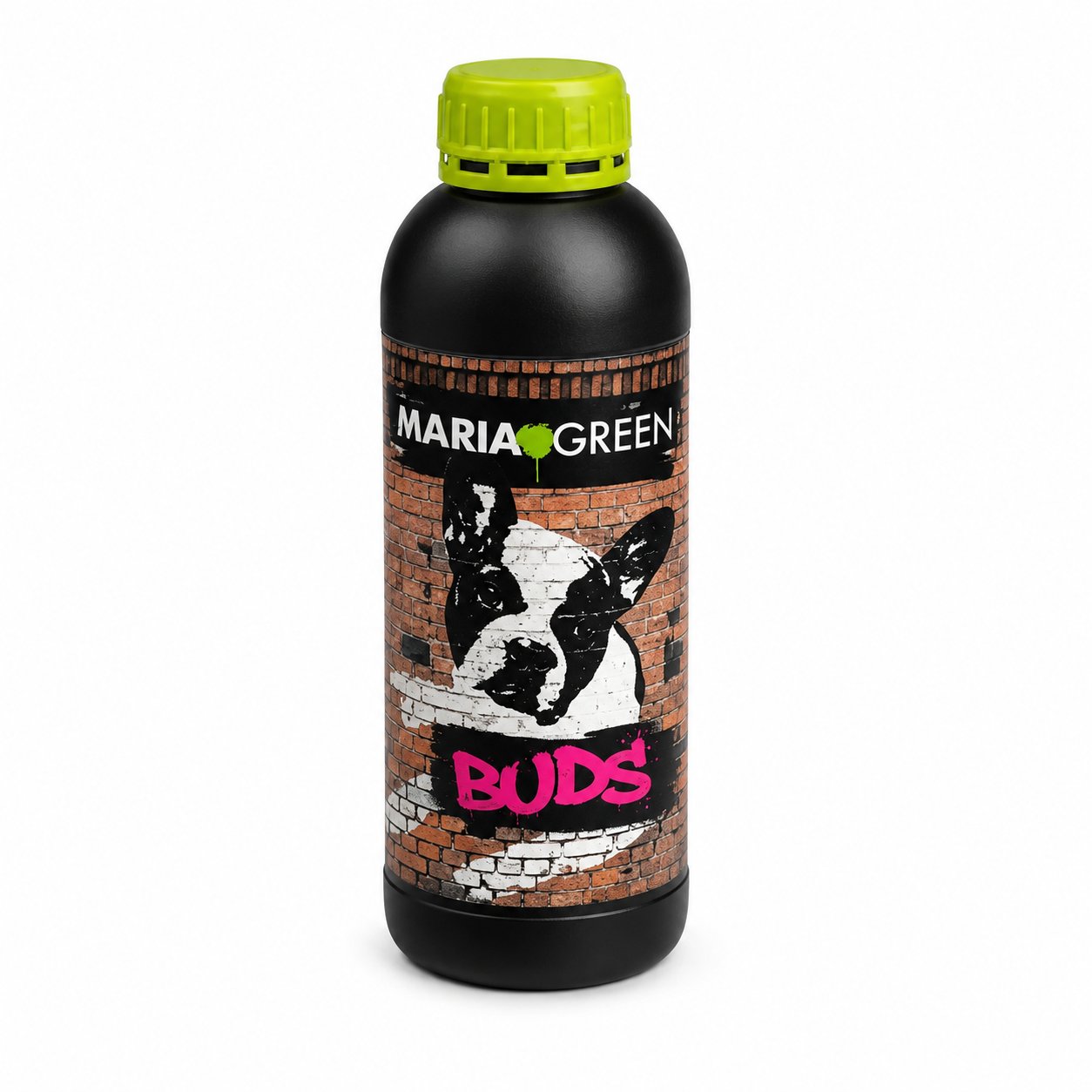 BUDS 1LT- MARIA GREEN 1