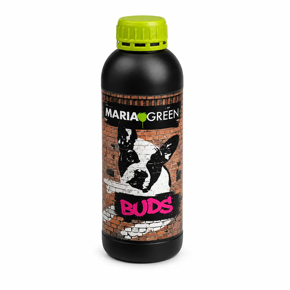 BUDS (1LT/5LT)- MARIA GREEN 1