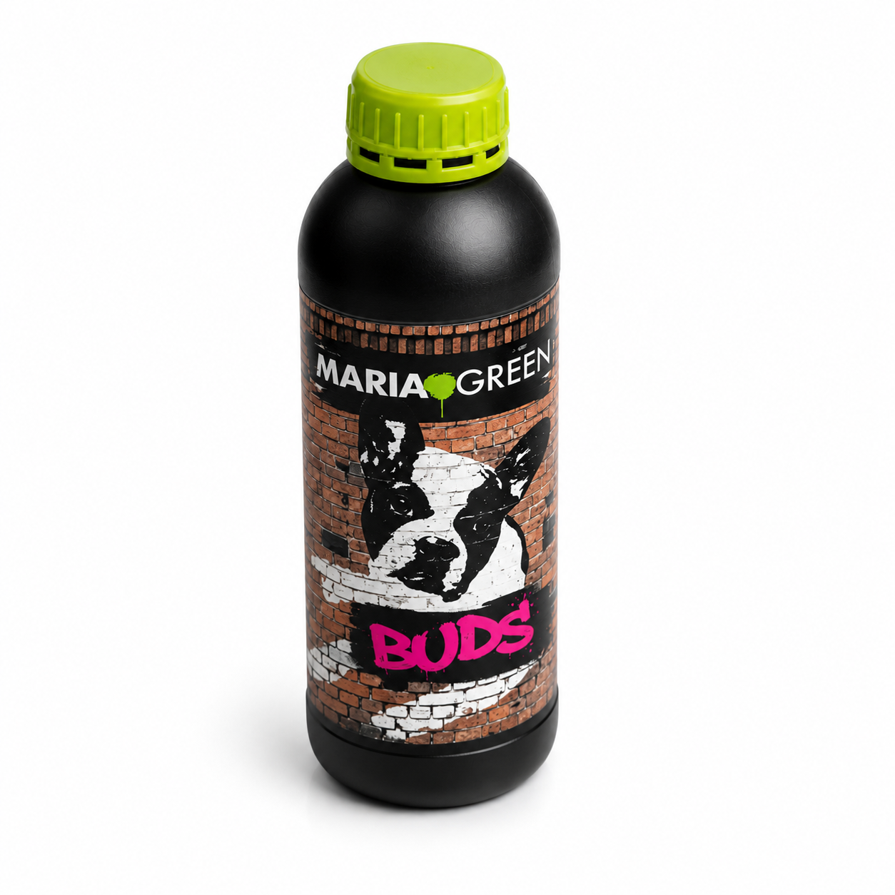 BUDS 1LT- MARIA GREEN 2