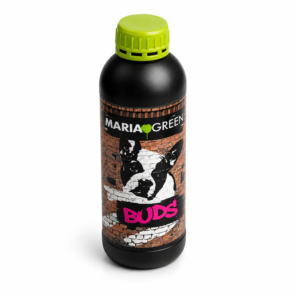 BUDS (1LT/5LT)- MARIA GREEN 2