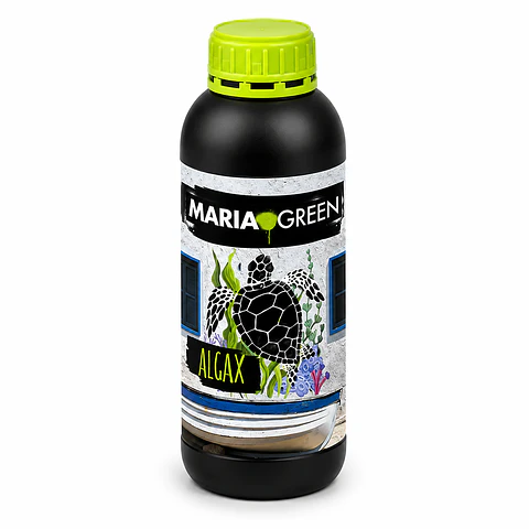 ALGAX 1LT- MARIA GREEN