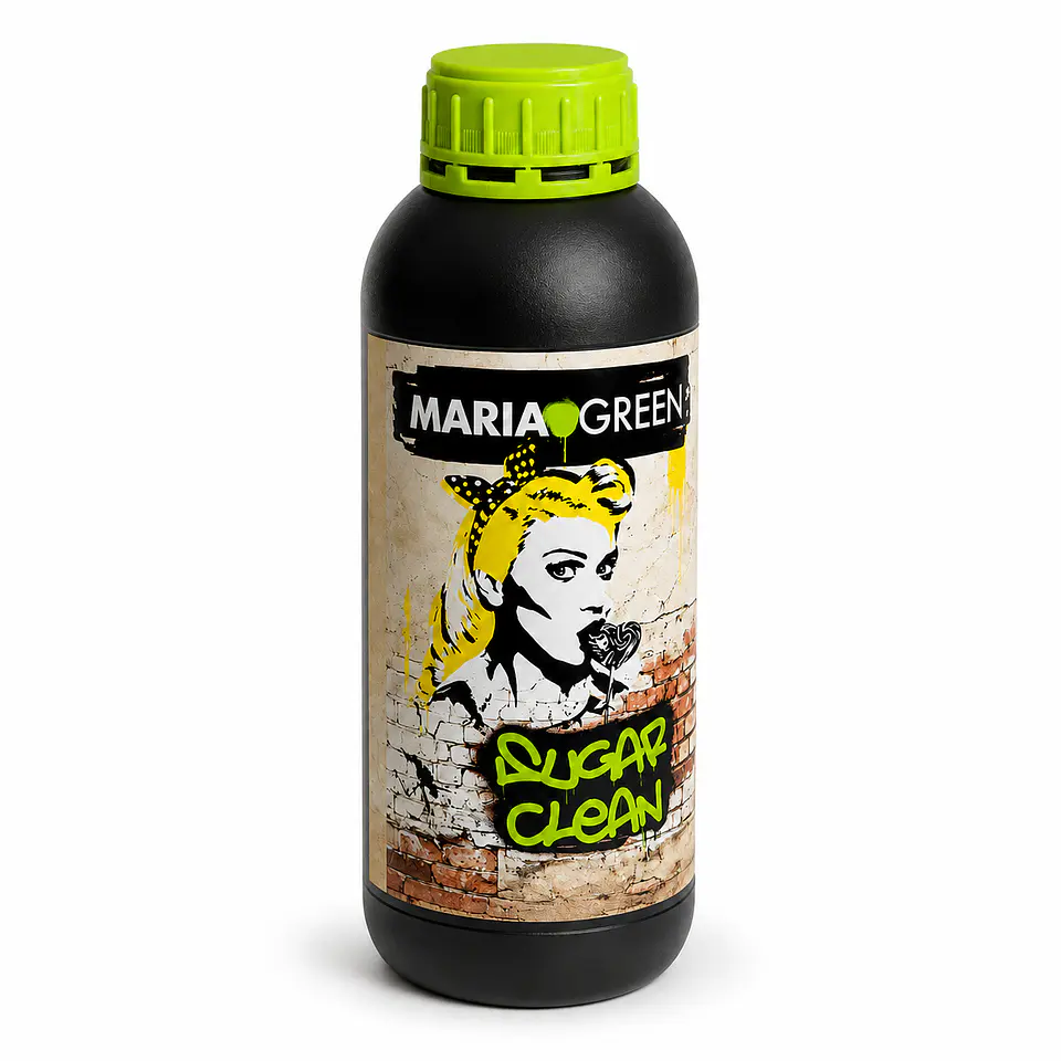 SUGAR CLEAN - MARIA GREEN 2