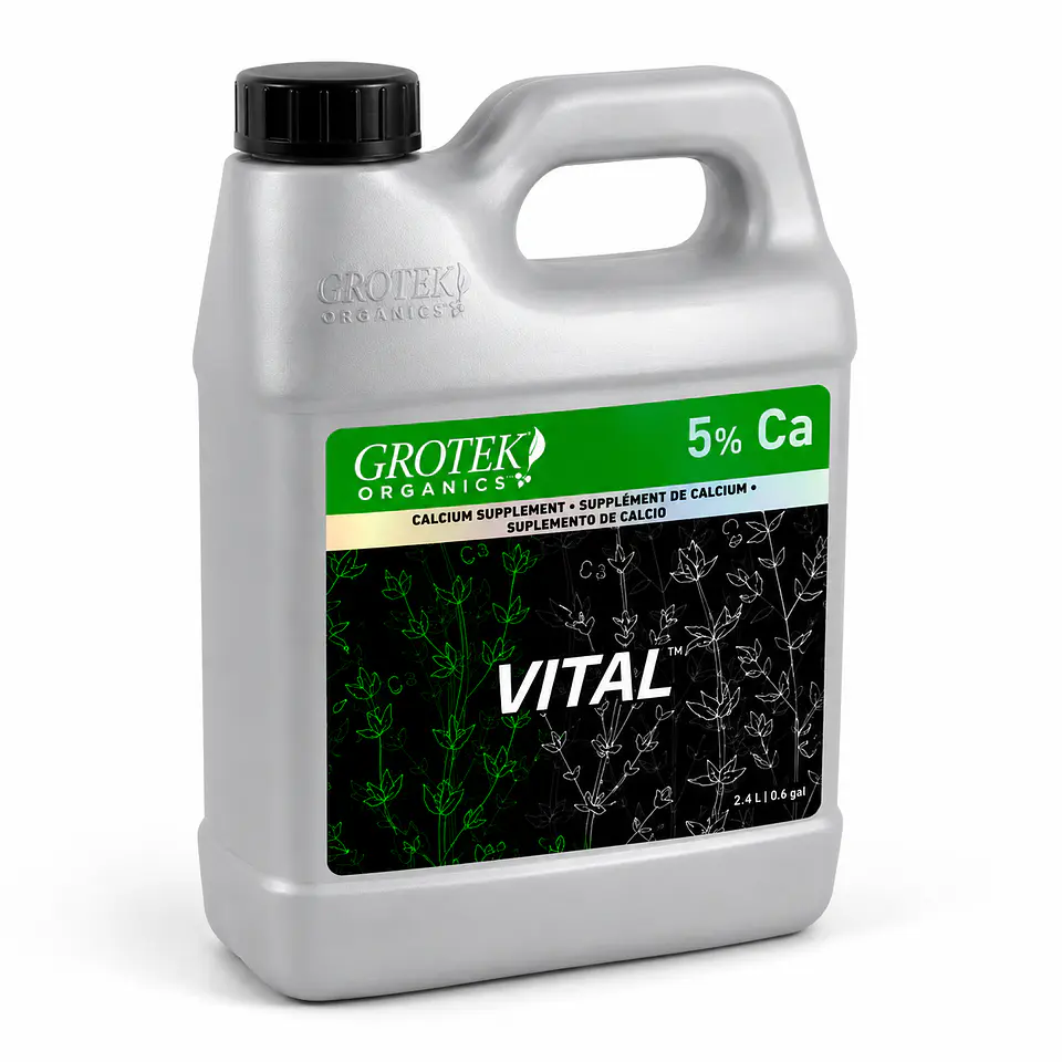 Vital -Grotek 2