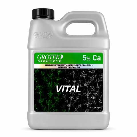Vital -Grotek