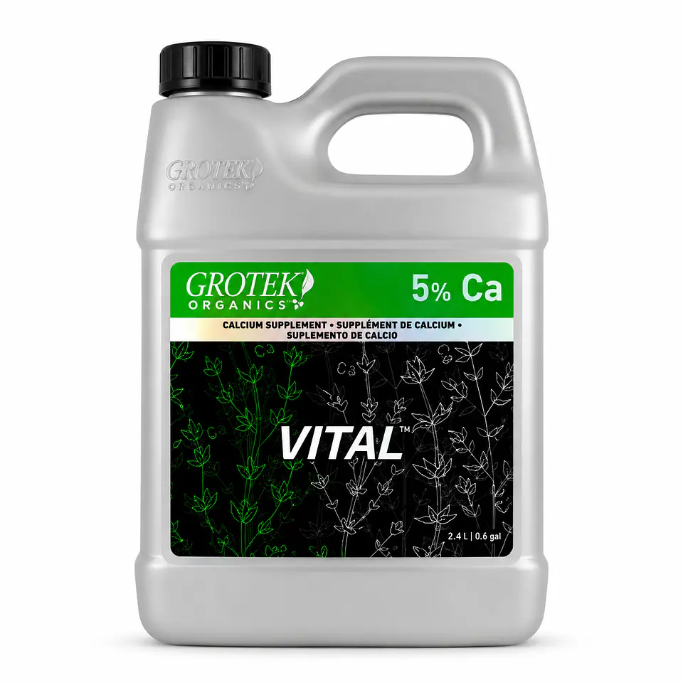 Vital -Grotek 1