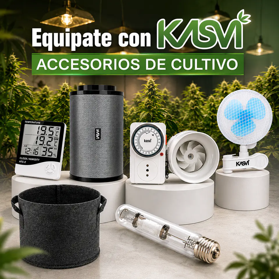 Kit De Cultivo Indoor De Prueba 1