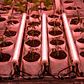 Led Spectra Under Canopy - Delight - Miniatura 2