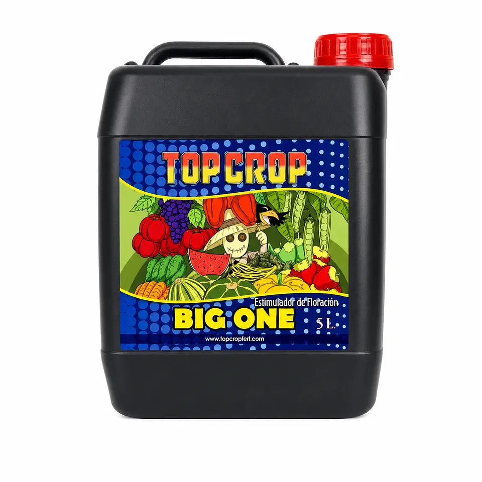 Big One (250ML y 5LT) - Top Crop 2
