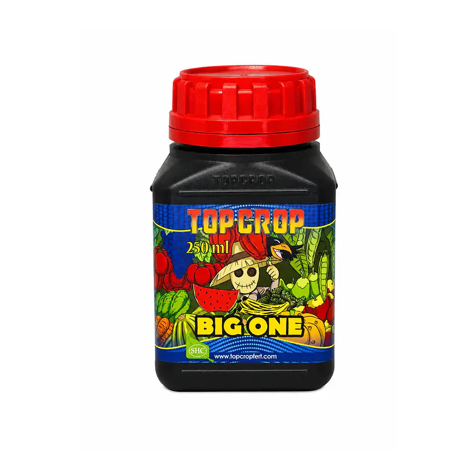 Big One (250ML y 5LT) - Top Crop 1