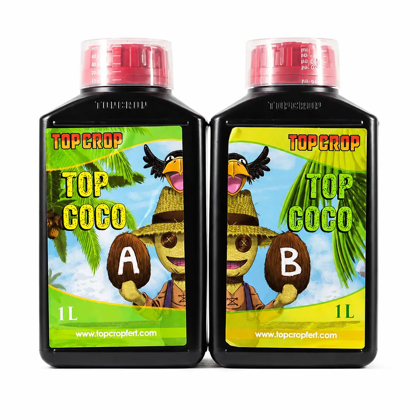 Top Coco A+B -Top Crop 1
