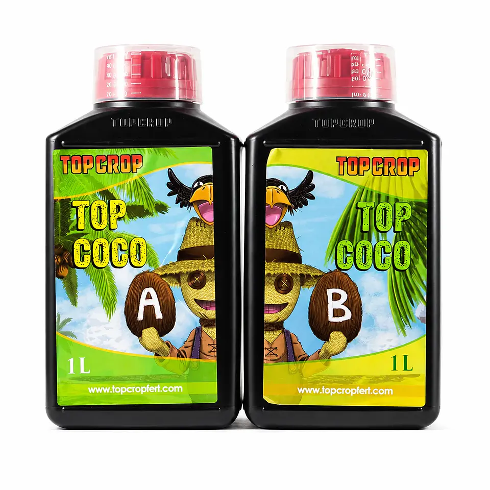 Top Coco A+B -Top Crop 1