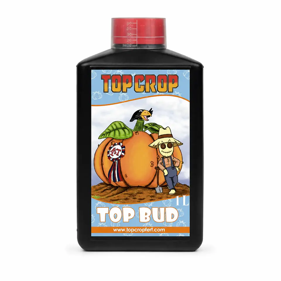 Top Bud -Top Crop 3