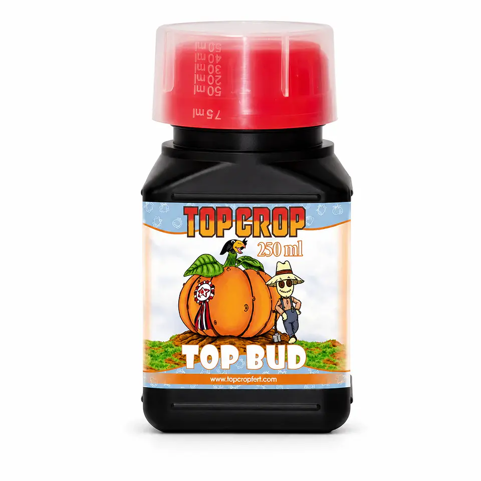 Top Bud -Top Crop 1