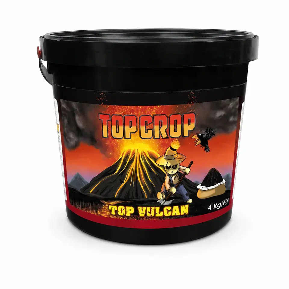 Top Vulcan-Top Crop 1