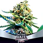Nitro Haze Fem -Bsf (X12/X7/X4/X2) - Miniatura 3