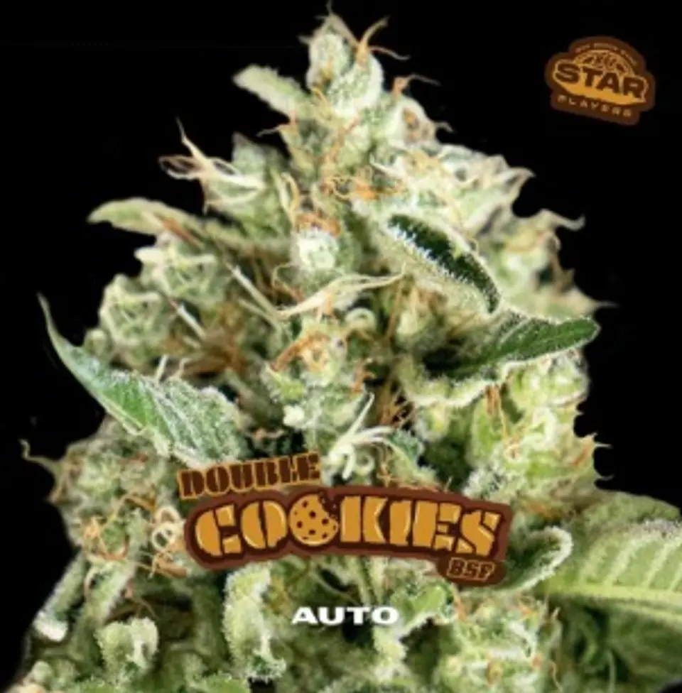Double Cookies Sp Auto -Bsf (X12/X7/X4/X2) 4