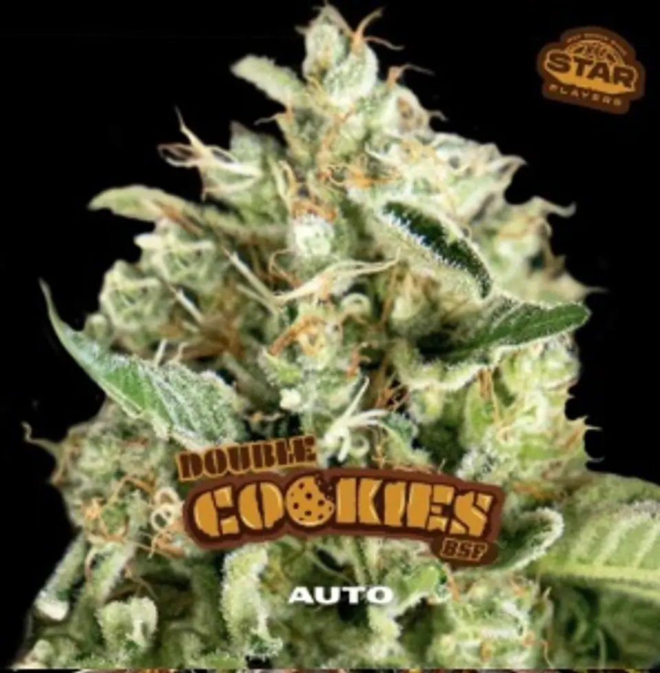 Double Cookies Sp Auto -Bsf (X12/X7/X4/X2) 5