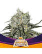 Double Cookies Fem -Bsf (X12/X7/X2/X4) - Miniatura 7