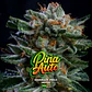 Gorilla Piña Auto -Bsf (X4/X2) - Miniatura 5