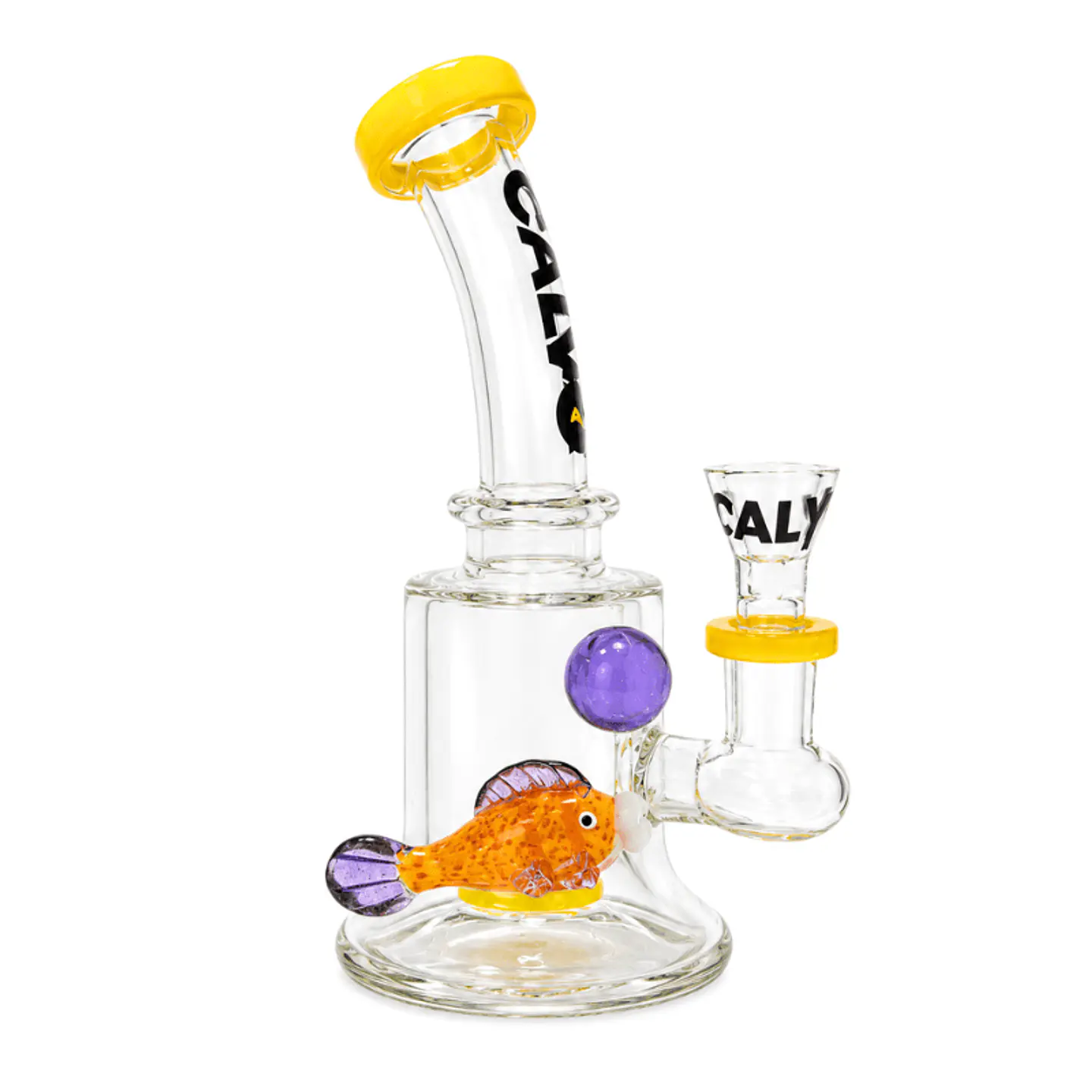 Bong Rig Aqua 19 - Calvo Glass (Color a elección) 4