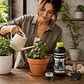 ALGAX (250ML/1L/5L) - MARIA GREEN - Miniatura 6