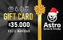 Astro Gift Card Digital ($10.000 a $120.000) 7