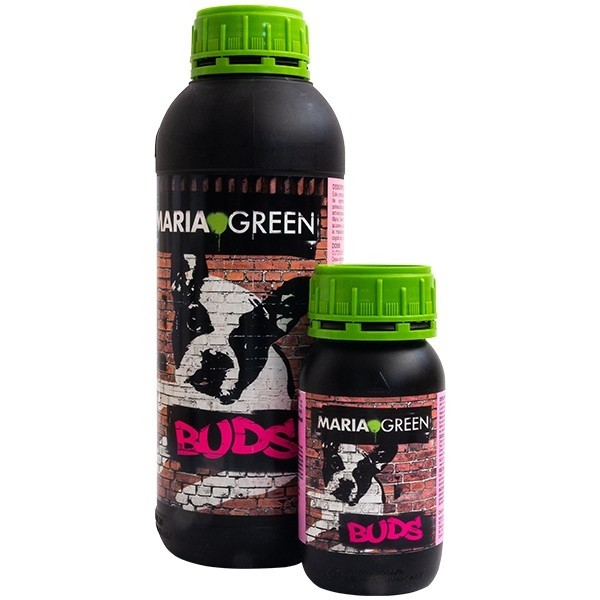 BUDS (1LT/5LT)- MARIA GREEN 4
