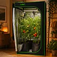 CARPA CROPBOX -KASVI - Miniatura 6