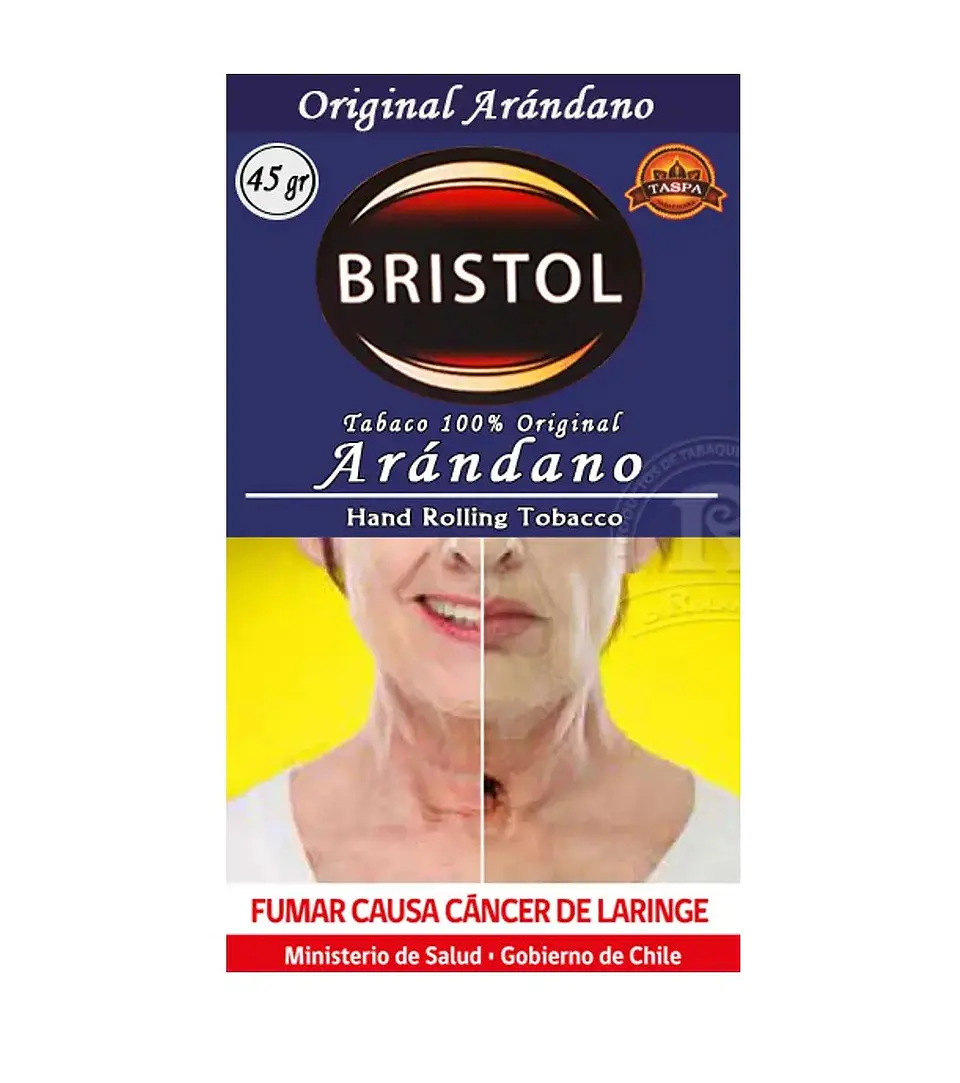 Tabaco Saborizado 45 Gr -Bristol 3