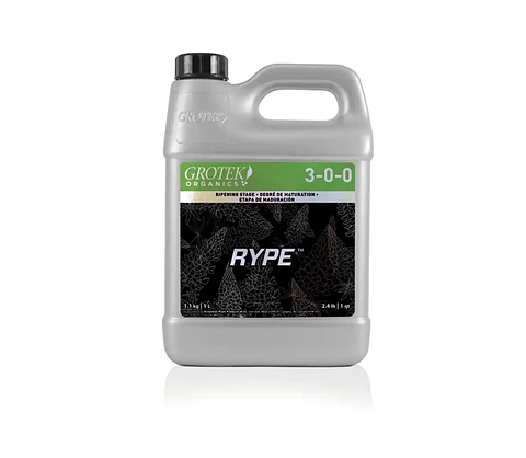 Rype -Grotek