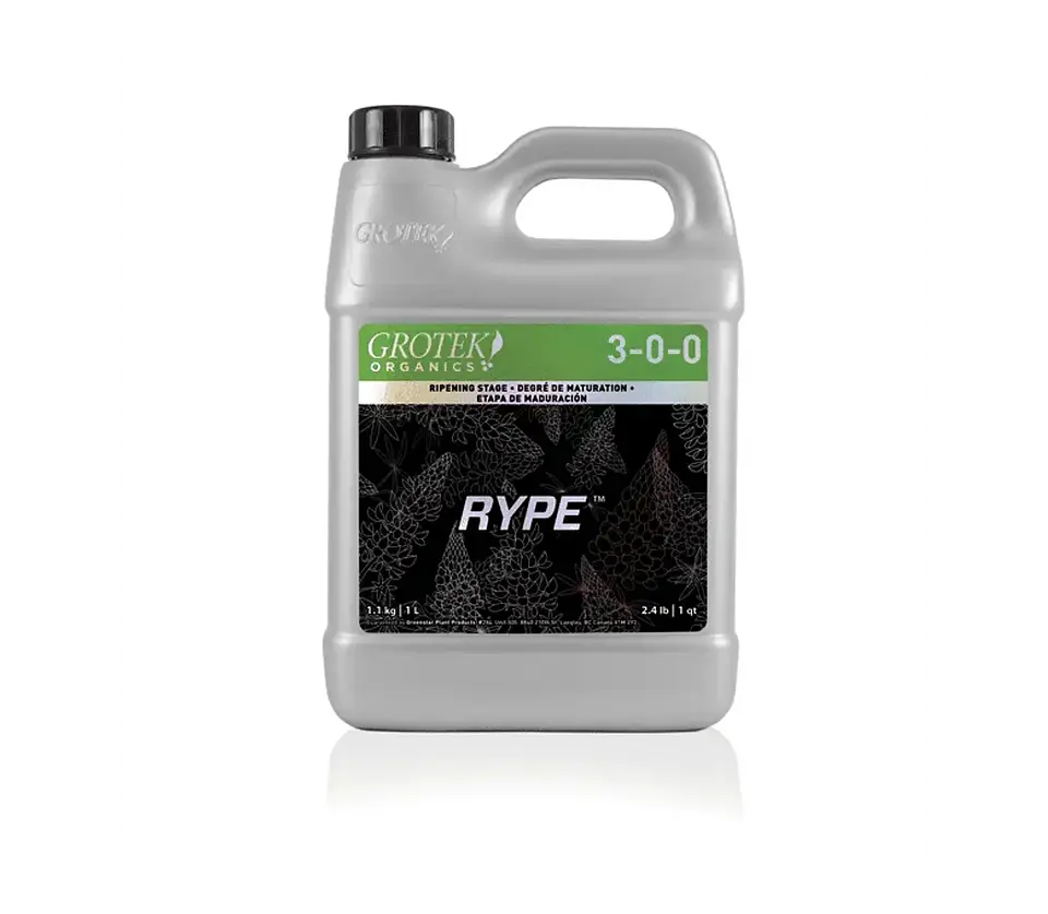 Rype -Grotek 2