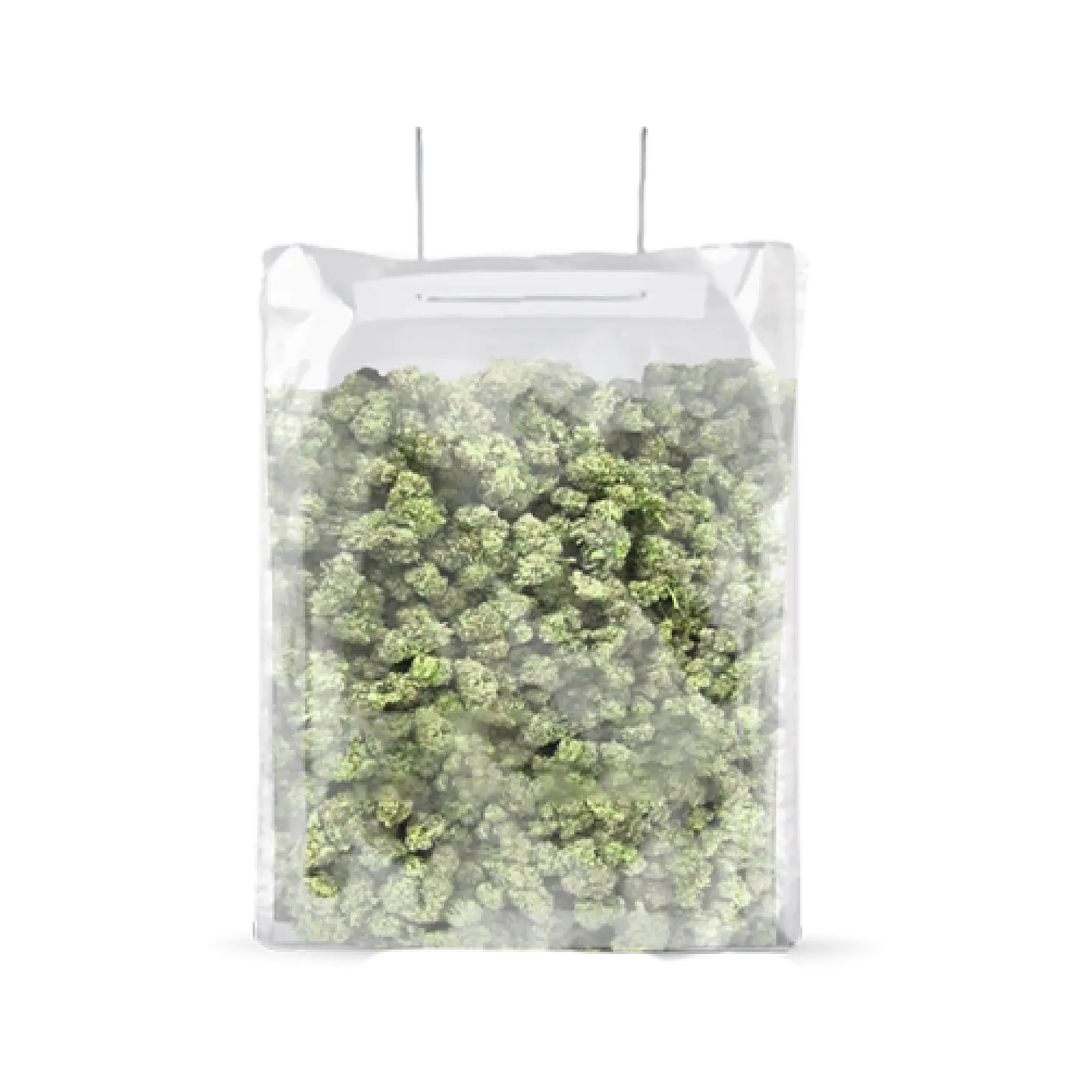 Bolsa Terpy Bag 0,5-1 Kg -Grove Bags 1
